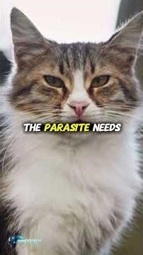 3 Disturbing Facts About Who's Really In Your Room...