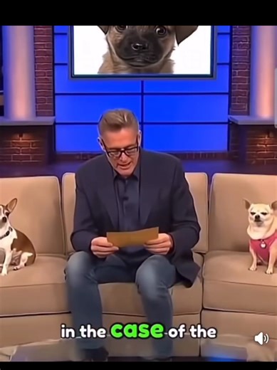 Unexpected Paternity Revelations on Maury