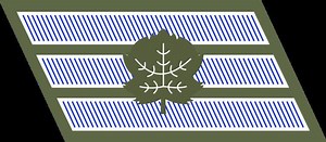 Staff sergeant - Alchetron, The Free Social Encyclopedia