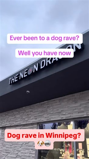 The cutest rave in Winnipeg 🪩 Credit: TikTok/theneondragonwpg Follow @northlywinnipeg for more Winnipeg content! DM us your videos/photos to be featured on the page! 🇨🇦 #NMG #nmgwinnipeg #winnipeg #canada | Northly Winnipeg