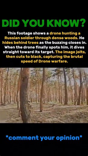 Horrors of drone warfare #history #war #ww2 #shorts