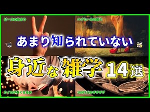 【ゆっくり解説】知っていると得する！とても身近にある「雑学」14選を解説