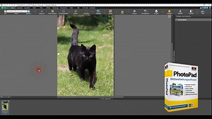 Der Hintergrund im Foto muss weg? Kein Problem mit PhotoPad! Viel Spass wünscht NCH. | NCH Software | Facebook