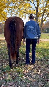 The Equine Nervous System A self-paced, on-demand, lifetime access, online class 40 different peripheral nerves: ✨How to recognize dysfunction in this nerve ✨Assessment for this nerve ✨Common causes of dysfunction ✨Treatment For every single one nerve A manual with all of this included to carry around for your reference Lifetime access to all curriculum Comment “relax” for a free PDF on the nerve in the video Learning objectives: 🤍Describe the anatomy and structural organization of the equine n