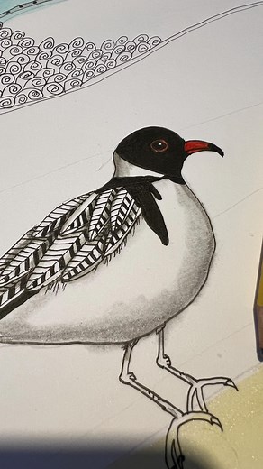 I’m working on a little series of hooded plovers and this piece has been inching along for about a month now. I add to it each morning with my coffee—slow, steady and relaxing for 5 minutes. Just in case you’re wondering. . Hooded Plover is considered a vulnerable / threatened species Due to their habit of nesting on the shore their chicks are often lost to dogs etc. Hooded plovers are small, shy shorebirds often spotted along the beaches of the Mornington Peninsula, with their distinctive black