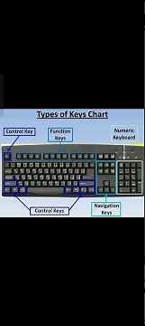 👉 “Keyboard Sections Explained | Typing Practice Tips for Beginners | 10 Fast Fingers”