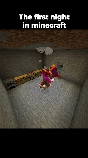 The First Night In Minecraft