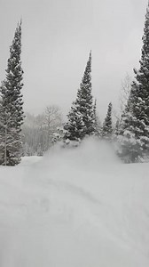 7.1K views · 327 reactions | Today at #DeerValley. | : GoPro | Deer Valley Resort | Facebook