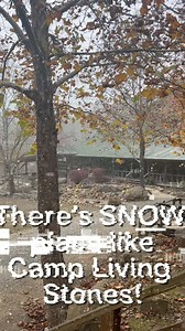 What's this white stuff?! I don't remember migrating north!!! | Camp Living Stones