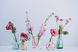 6 Ways to Make Your Cut Flowers Last Longer