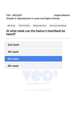 Foetus Heartbeat Week 12th Biology Reproduction Chapter