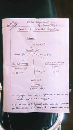 Aerobic and anaerobic respiration ,quick revision #jamui