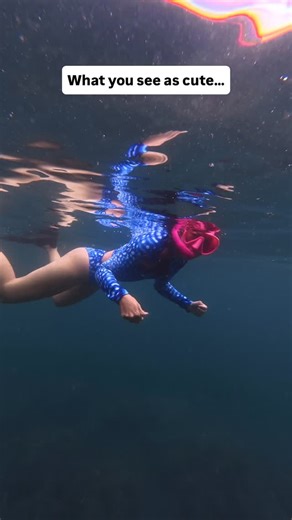 The Dive Compass | Sustainable Scuba Diving Swimwear & Apparel on Instagram: "What you see as cute… divers see as functional. 😉🌊💙 Most swimwear is made for poolside lounging — but we make ours for divers who actually move, swim, frog-kick, backroll, and chase corals (responsibly). ✨ Recycled materials ✨ Fits that stay put underwater ✨ Prints inspired by the reefs we’re fighting to protect ✨ Made for ocean lovers, not fast fashion At The Dive Compass, style always meets function, because both 