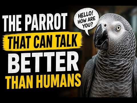 He repeated THAT word and everyone froze 😳 (African Grey Parrot / Jaco)