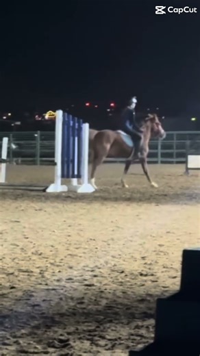 heart 💕 #horse #equestrian #blowup