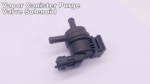 Purge Valve & EGR Valve - OEM Replacement 28910-3C200 for Kia Soul 2010-2017 & Hyundai Accent/Sedona - EVAP Canister Purge Solenoid - Fixes P0441 Code - Direct Fit