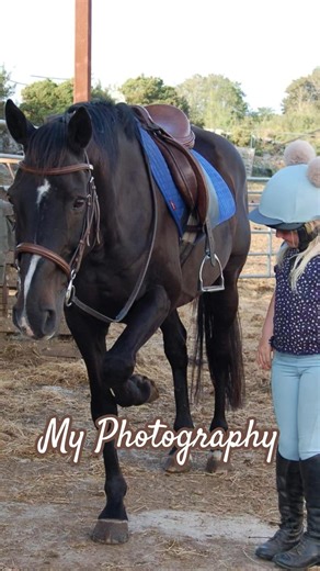 posting my photography bc there's NOTHING to post (all taken by Nikon D50)