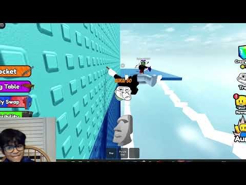 Can I Beat This INSANE Roblox Challenge?