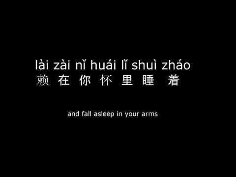 Chinese Song Lyrics - xué māo jiào 学猫叫 Learn to Meow with English, Pinyin and Chinese Characters