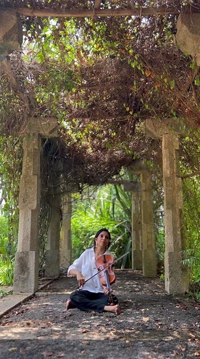 Violin, frangipani and some Nalinakanthi 🌸 | Charumathi Raghuraman