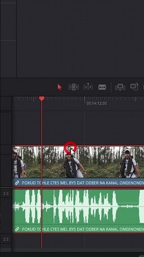 Animované Filmové Pruhy v DaVinci Resolve - Minutový Tutoriál
