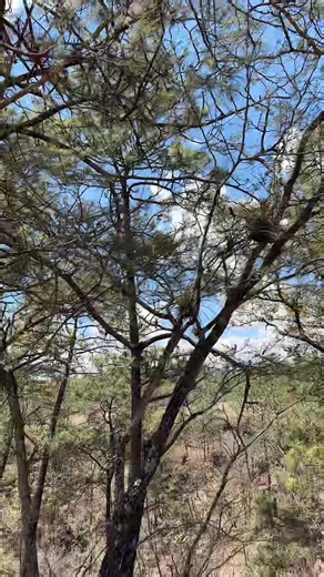 🥰#losparras_oficial