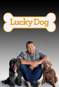 Lucky Dog (2013-2023) - TV Show