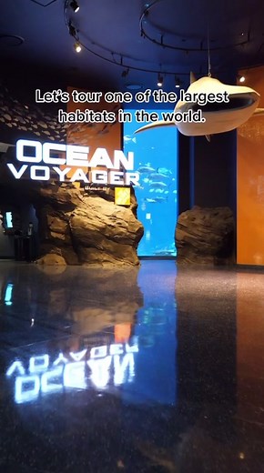 Ever wondered what an aquarium looks like at night? Join us on Mon., May 8 at 6:30 p.m. ET for a live tour of #georgiaaquarium at night! We’re going live from both Instagram and TikTok so pick your favorite platform to join us on. 💙