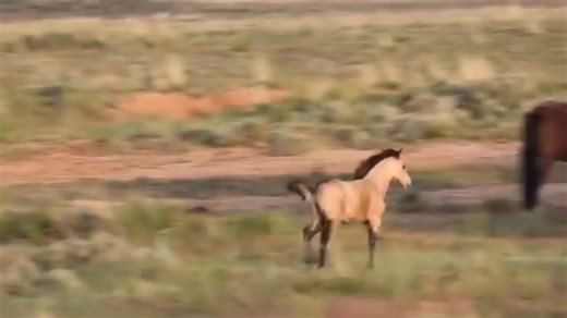 Everardo Ponce Manzano on Reels