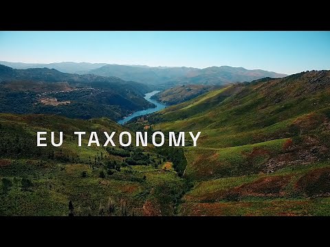 What is the EU Taxonomy? Explained: Regulation and Reporting for Sustainable Activities