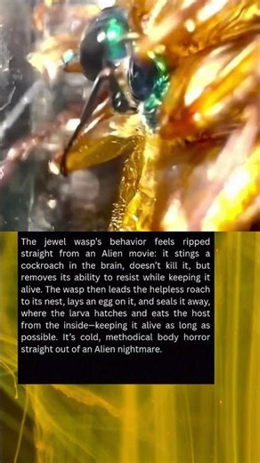 Nature’s Alien Nightmare