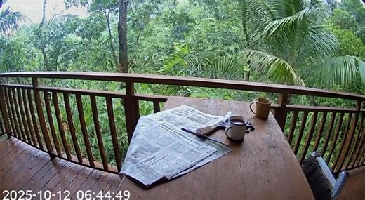 4.1K views · 25 reactions | 浪 | GAME CENTER | Facebook