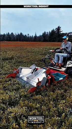 Smart harvesting worktool for clean berry collection