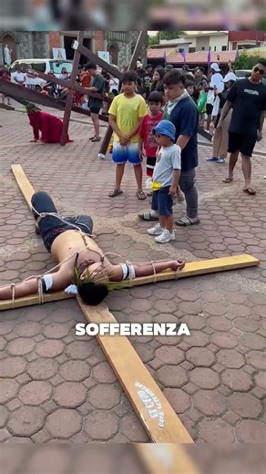 Perché portano cactus sulla schiena? 🌵