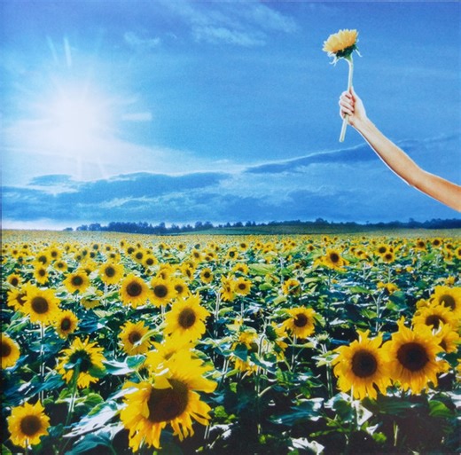 Stone Temple Pilots - Thank You