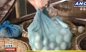 Ancient Incubator, I wonder if we can DIY this.