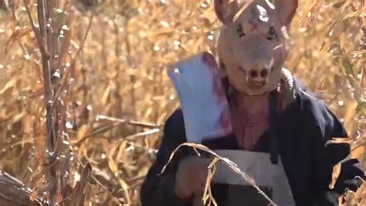 Test your bravery at Terror in the Corn Stalks in Norfolk