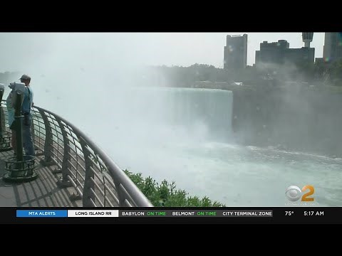 Man Survives Plunge Over Niagara Falls