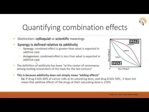 2026 March - Model supported patient stratification using multi-objective synergy optimization