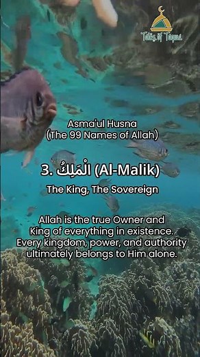 Al-Malik | The King, The Sovereign | 99 Names of Allah Series #3 | Asmaul Husna