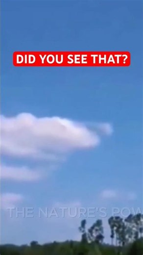 An incredible moment caught on camera... But WHAT is it? 🤯