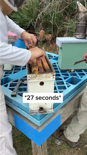 Getting back into the swing of things& having fun doing it🐝 #familybusiness #centralflorida