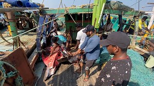 Hard Working Fishermans in Kasimedu | KF FISH CUTS