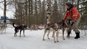 Alaska Native Heritage Center on Reels