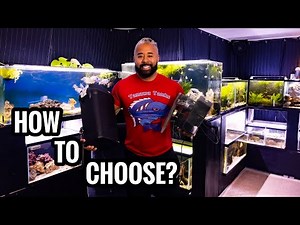 Which Type of Aquarium Filter is Best For You?