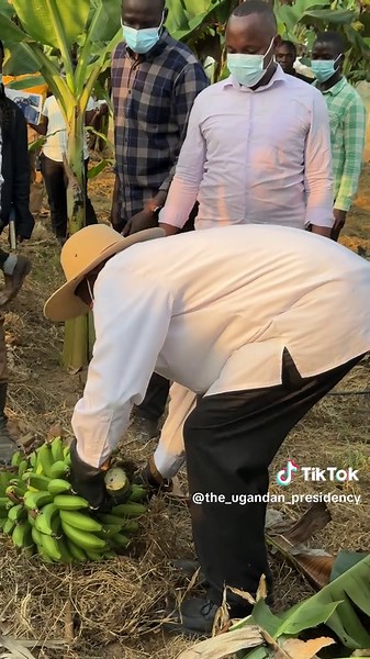 President Museveni Visits 4-Acre Model Farm in Katakwi | Parish Development Model