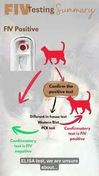 FIV In Cats: Test Results Made Simple #cats #cat #catshorts #catvideos #pet #pets #animals #animal