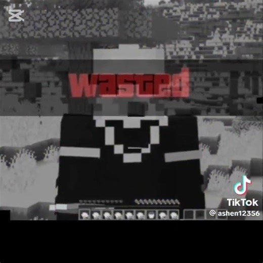 My favorite amp player #minecraft