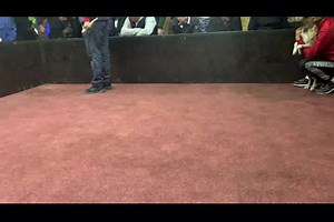 gr ch brawo II vs ch maron