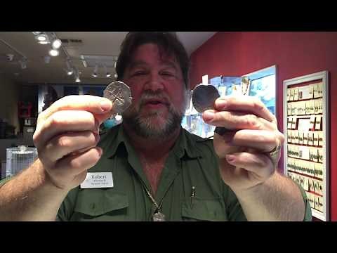 What is a Spanish "piece of 8" recovered from the 1715 Treasure Fleet PART 1